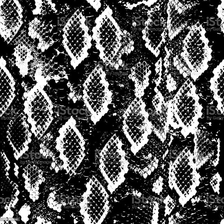 Snake Skin Scales Texture Seamless Pattern Black White Backgrounds Simple  Ornament Fashion Print And Trend Of