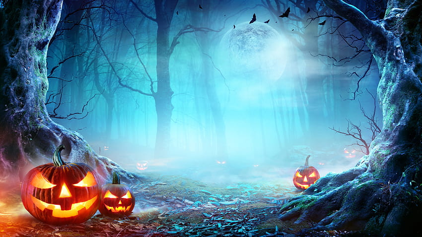 45 Halloween Zoom Backgrounds  Free Download  The Bash