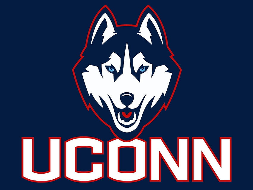 Uconn Huskies Logo HD wallpaper