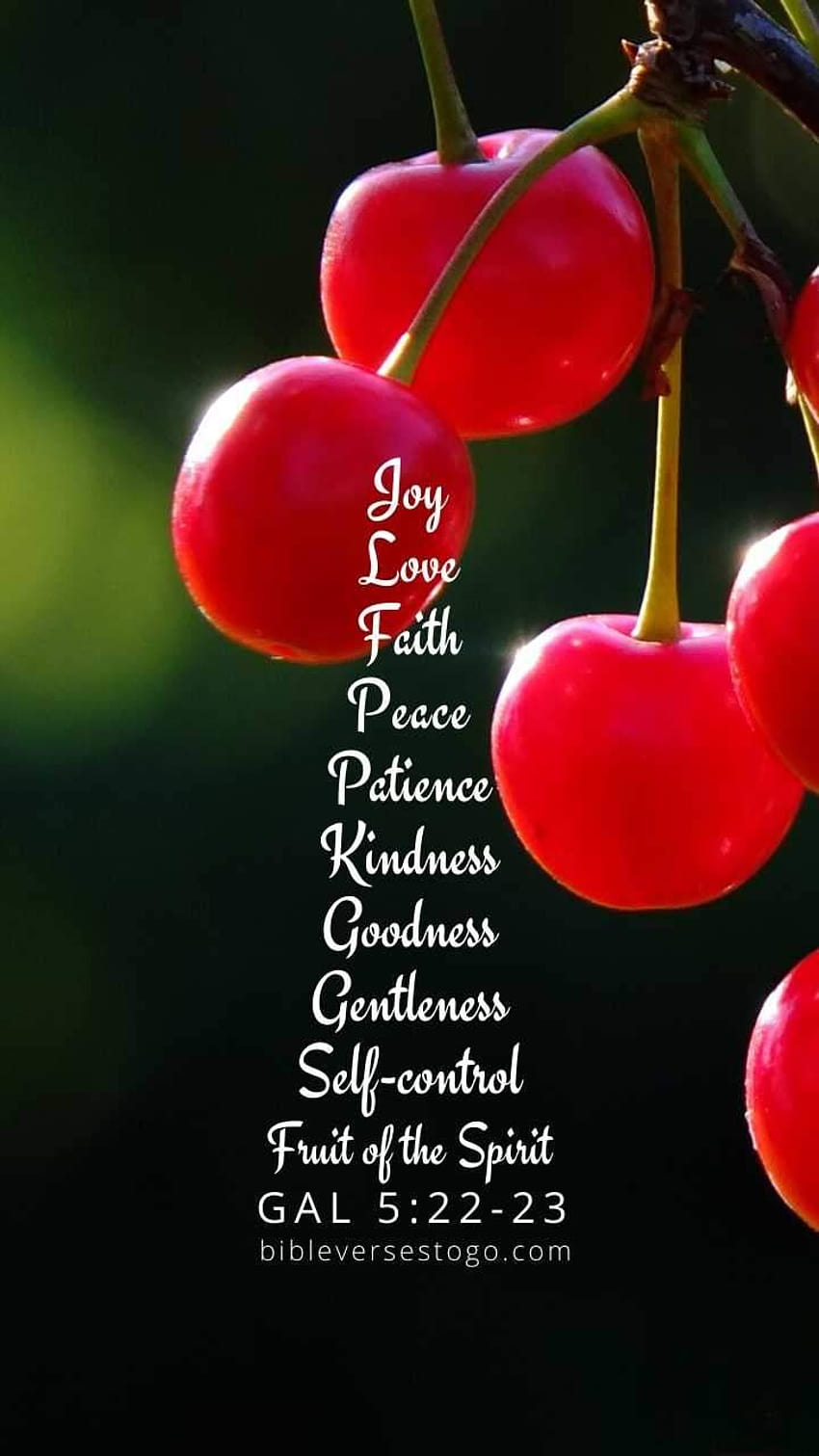Cherries Galatians 5:22 HD phone wallpaper