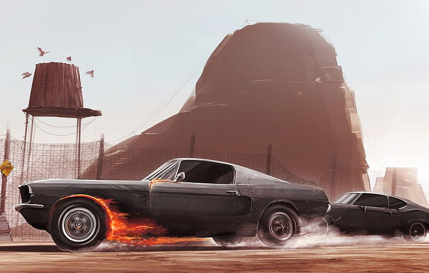 Mustang, Ford, Auto, Figure, Fire, Machine, Speed, Two, Chase, Car, Race, Art, Driver, Illustration, Animation, Desert , section арт, car chase HD wallpaper