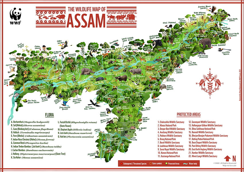 Зелен хумор: Карта на биоразноието на Асам, карта на Асам HD тапет