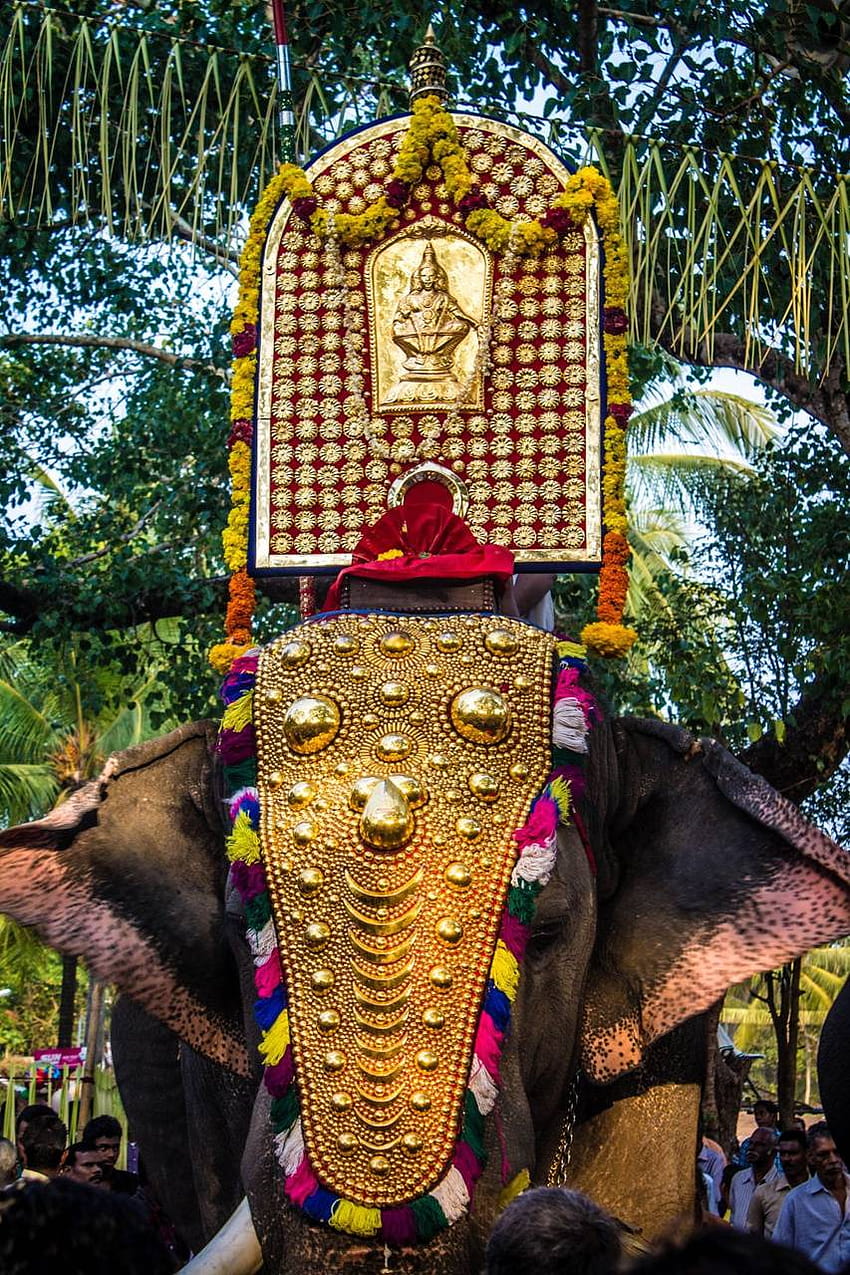 Kerala elephant by Srj24, elephant kerala HD phone wallpaper