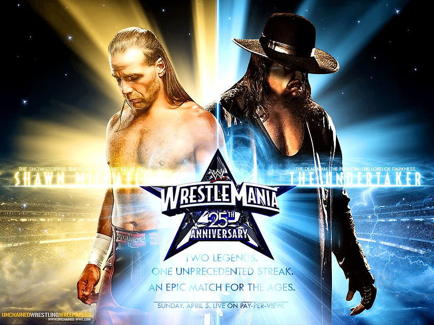 WWE Shawn Michaels vs Undertaker, legenda wwe Wallpaper HD