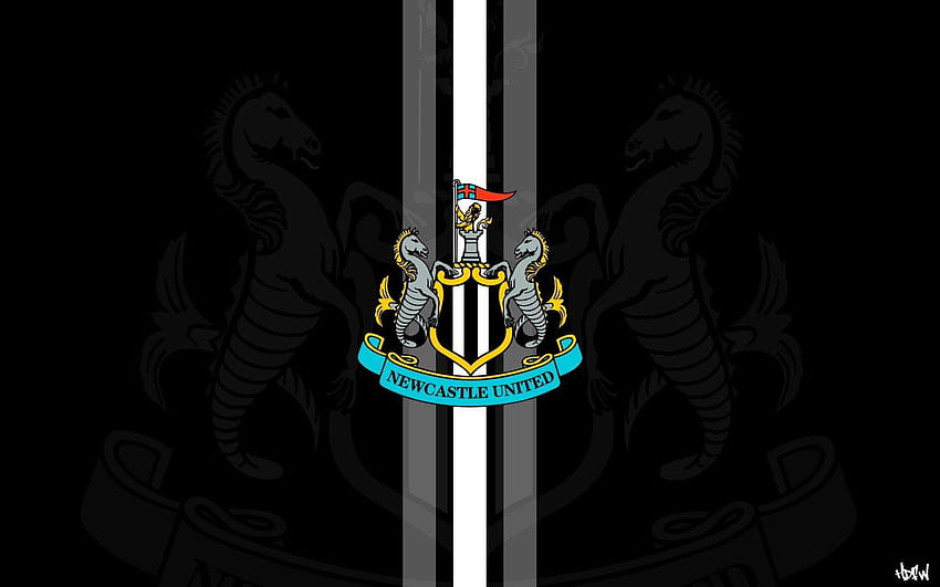 Newcastle United Tapeta HD