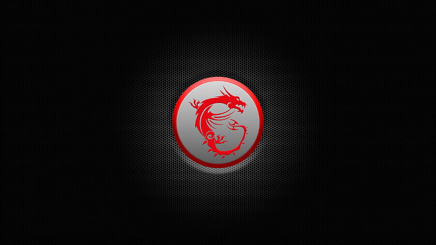 MSI on Dog HD wallpaper | Pxfuel