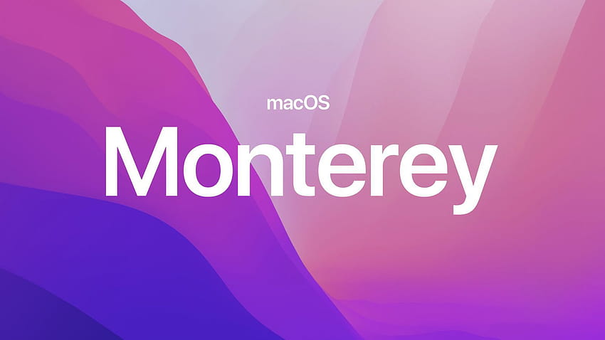 Here Are All the Macs Compatible With macOS Monterey HD wallpaper