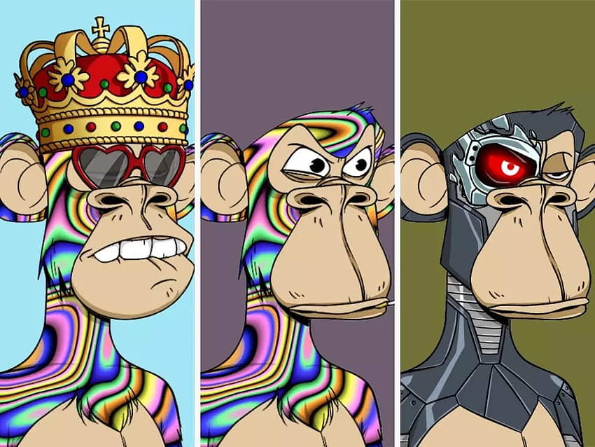 Bored Ape NFT sells for $2.7 million, making it the most expensive in Yacht Club, nft monkey HD wallpaper