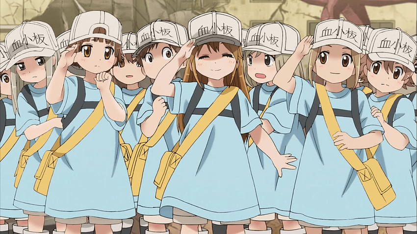 Hataraku Saibou EP.1