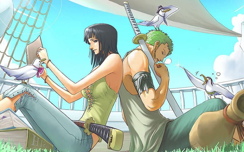 Roronoa Zoro, Nico Robin, One Piece, Seagulls / und Mobile Backgrounds, Zoro und Robin HD-Hintergrundbild