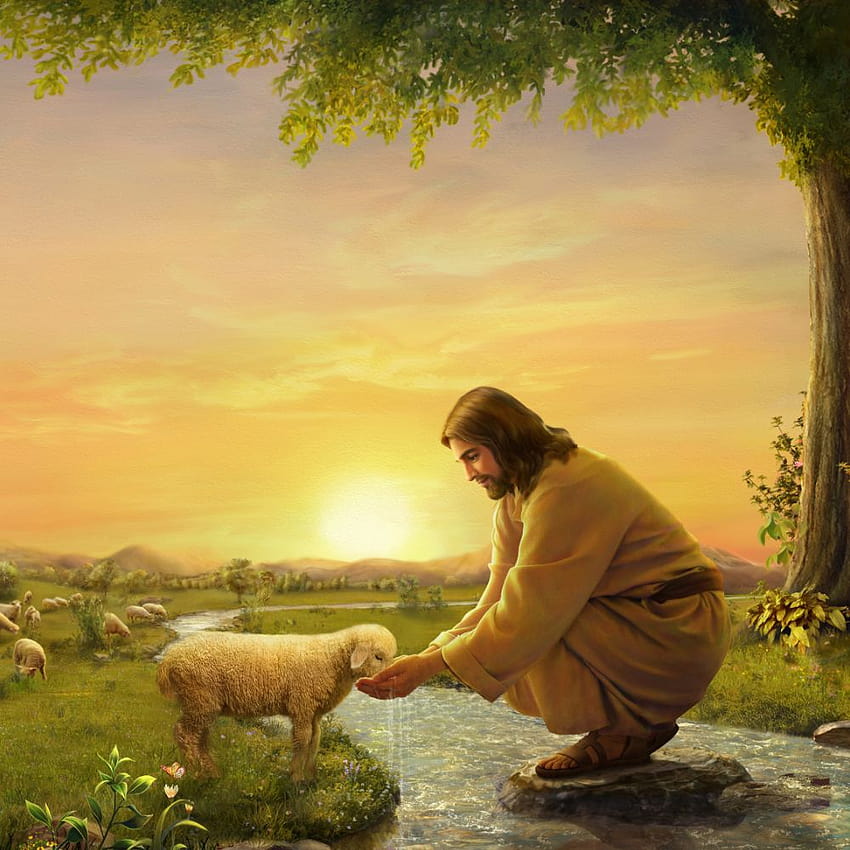 Щифт върху Arte biblico, Исус пастир HD тапет за телефон