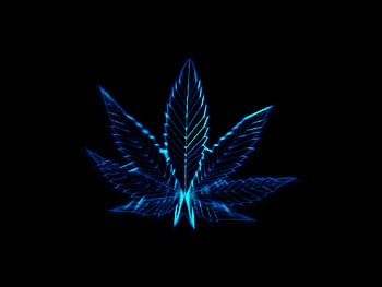 3D Weed Leaf HD wallpaper | Pxfuel