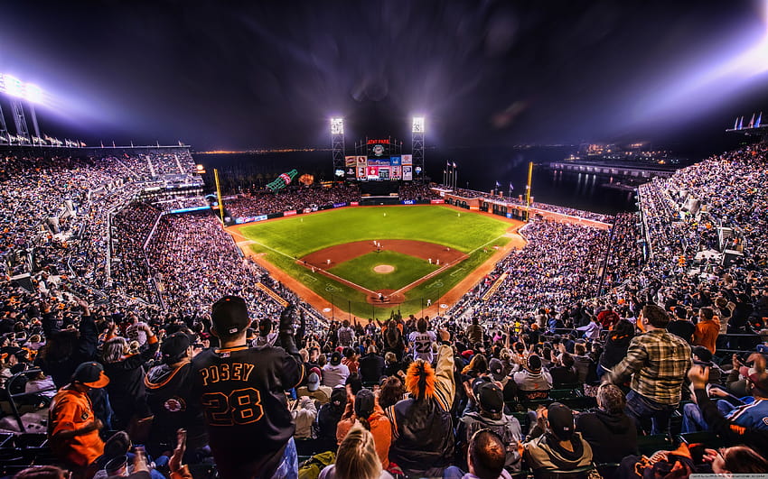 Giants Baseball Arena ❤ para Ultra TV, s populares de béisbol fondo de  pantalla | Pxfuel