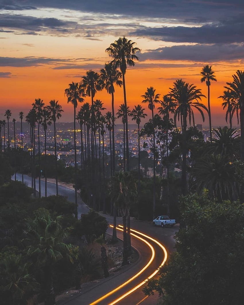 Zachód słońca w Los Angeles, bulwar zachodu słońca Tapeta na telefon HD