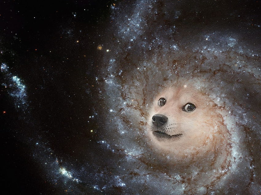 Hund Galaxy, Weltraumhund HD-Hintergrundbild
