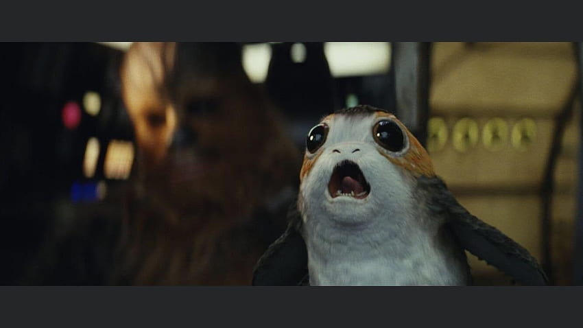 Where can I buy a Porg friend? I want him to look just like the screamy one. : TheLastJedi, captain canady HD wallpaper