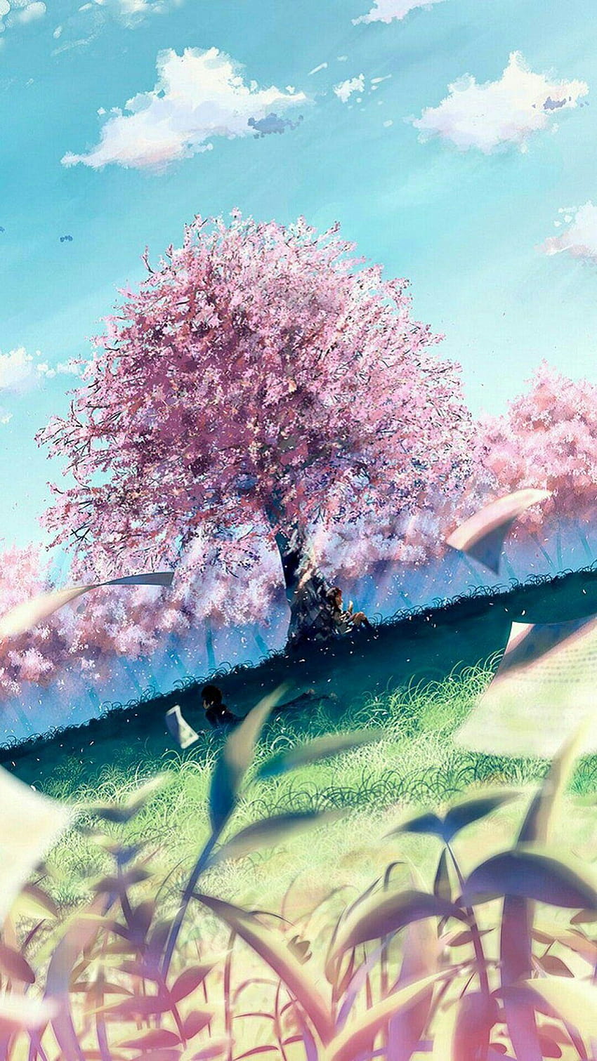 Este es como mi favorito. Me encantan los cerezos en flor, el anime ama los cerezos en flor. fondo de pantalla del teléfono