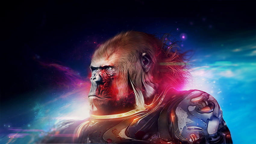 Gorilla Warrior, gorillas HD wallpaper
