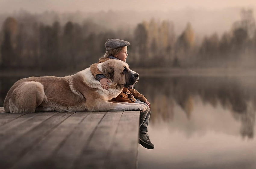 Kids And Dogs, Animals, faimly of dogs HD wallpaper