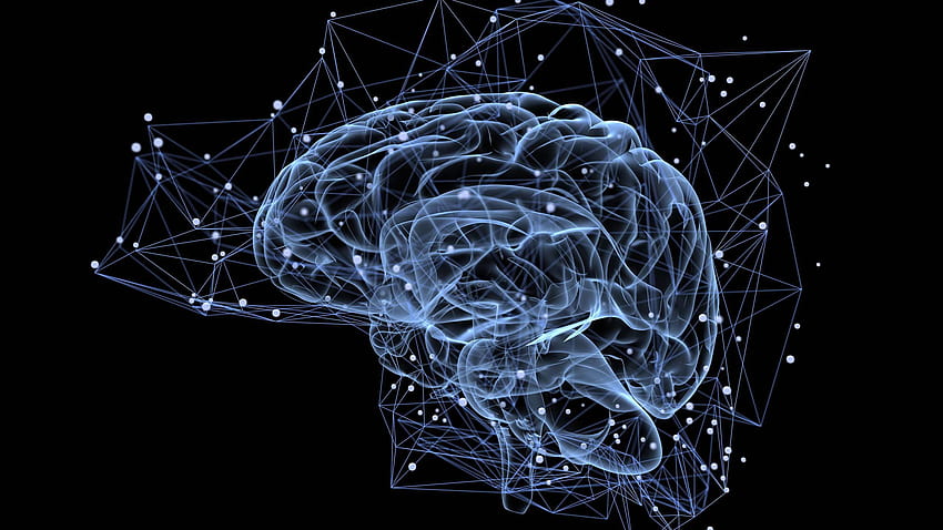 Research Paper On The Human Brain, human mind HD wallpaper