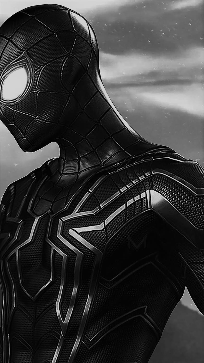 15 Spiderman Black HD phone wallpaper | Pxfuel