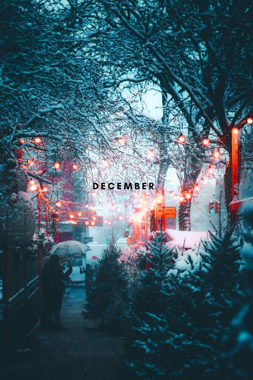 December iPhone, hello winter aesthetic HD phone wallpaper