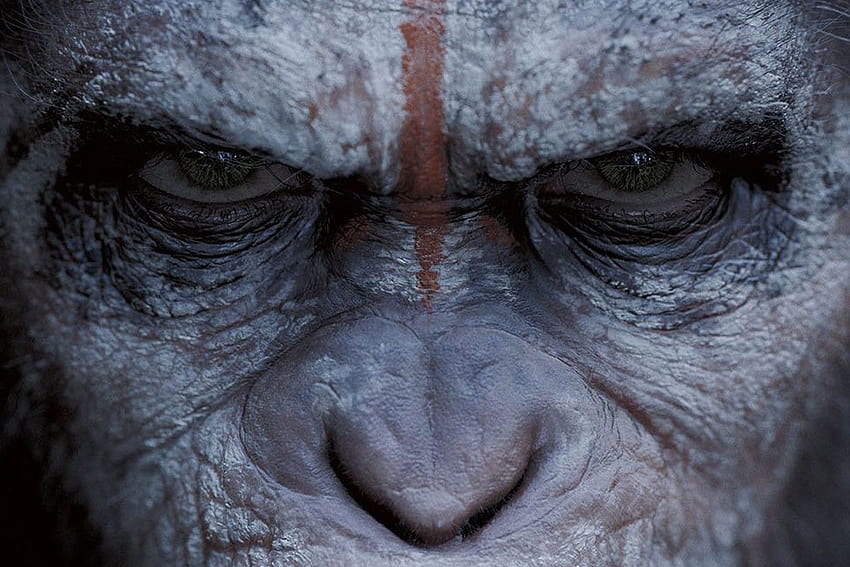 Dawn of the Planet of the Apes” stanowi mocny argument za złoczyńcami z planety małp Tapeta HD