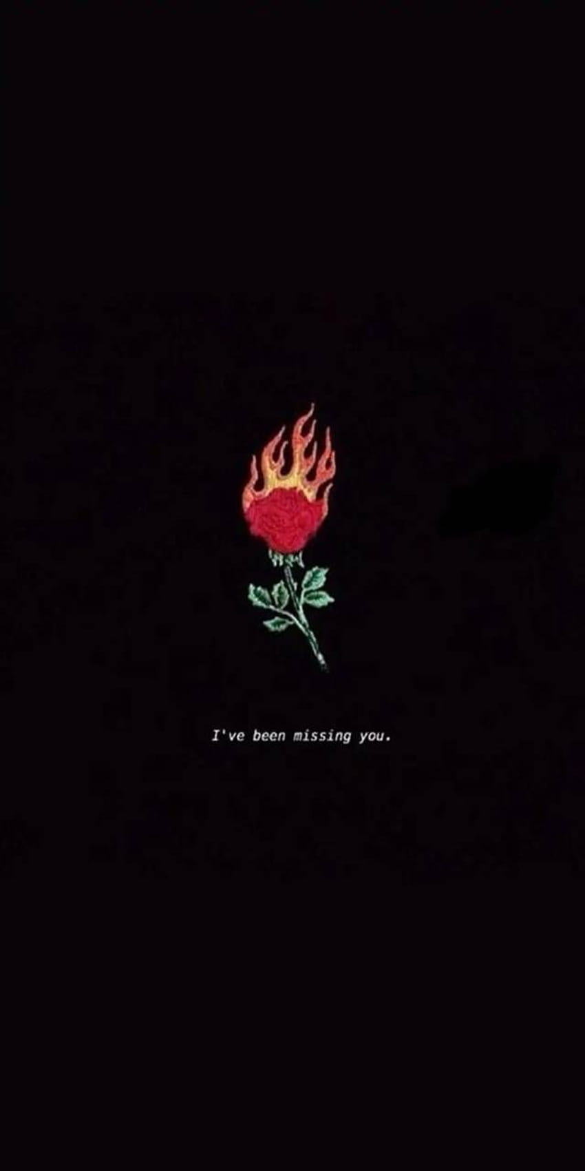 Aesthetic Rose On Fire โพสต์โดย Christopher Anderson ดอกไม้ที่ลุกเป็นไฟ วอลล์เปเปอร์โทรศัพท์ HD