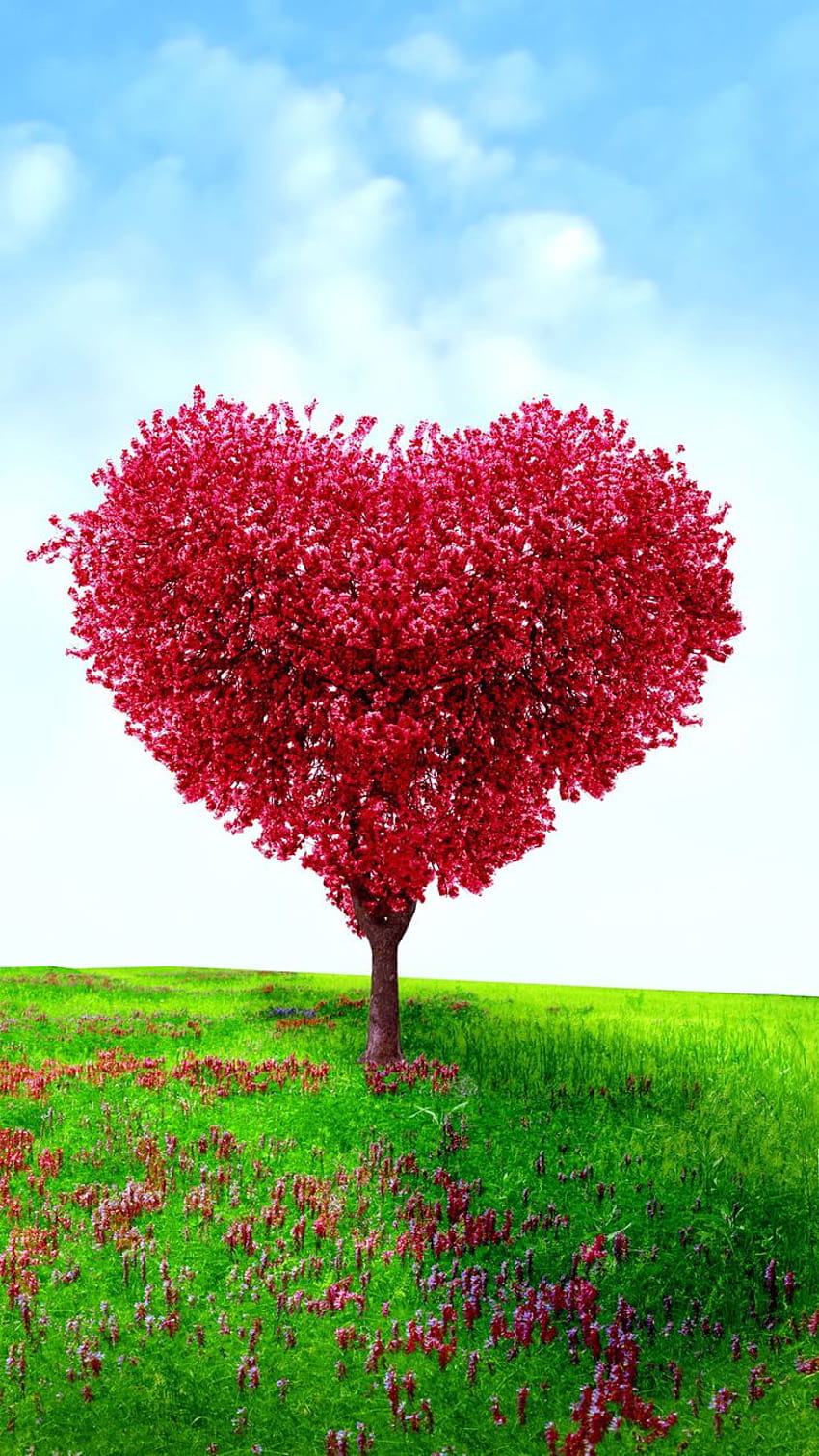 Heart Shaped Tree Valentines Day Love, valentines android HD phone wallpaper