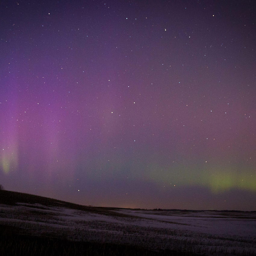 Snowshoe y Stargaze, aurora boreal del lago astotin fondo de pantalla del teléfono