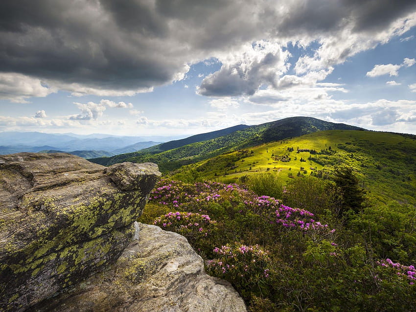 Beautiful scenes along the Appalachian Trail, appalachian trail vermont HD wallpaper