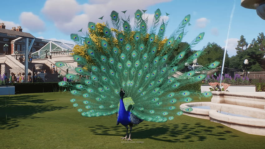 Indian Peafowl from The Making of Planet Zoo : PlanetZoo HD wallpaper