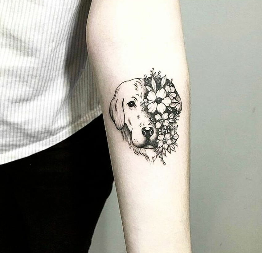 Uploaded by athanna Find and videos about sweet dog and arm tattoo HD  wallpaper  Pxfuel