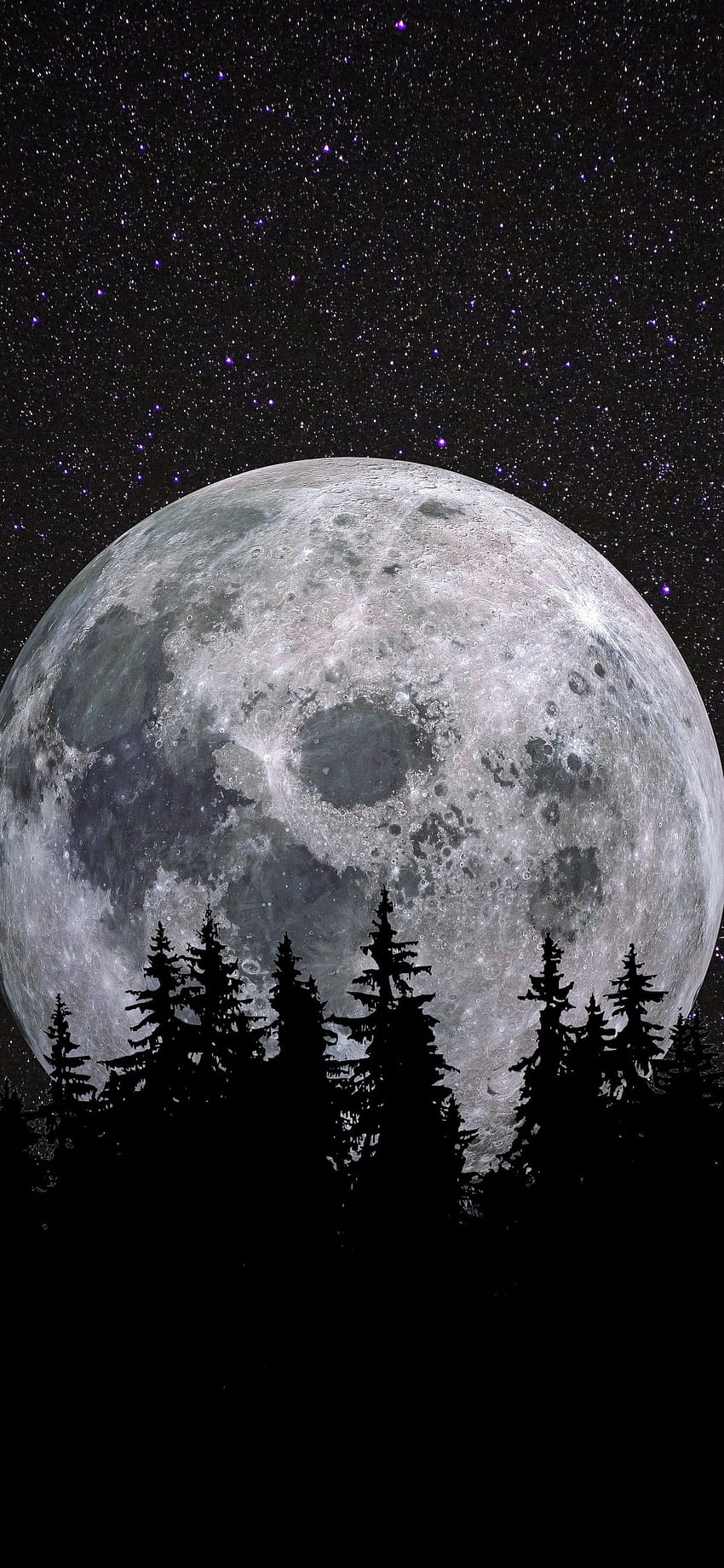 Full moon , Forest, Night, Dark, Starry sky, , Nature, iphone sky HD phone wallpaper