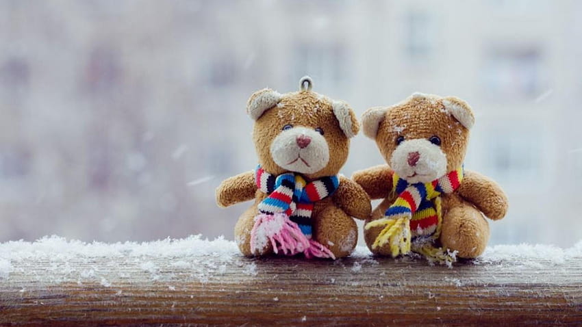 cute teddy couple dp