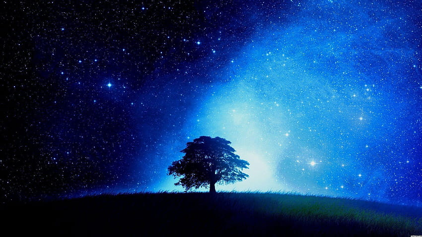 Drzewa i gwiazdy Tła 1920x1080, niebo pełne gwiazd Tapeta HD