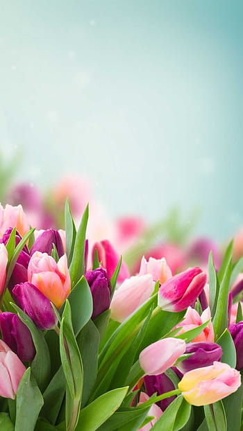 Spring iPad HD Wallpapers  Wallpaper Cave