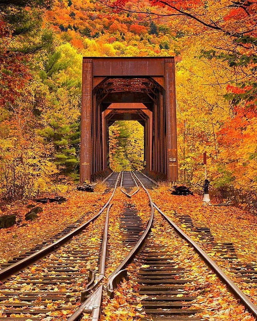 Jesień w Nowej Anglii, jesień na przejeździe kolejowym Tapeta na telefon HD