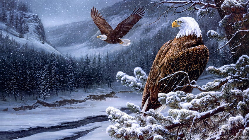 Flying Bald Eagle U Ultra High Definition ... Backgrounds HD wallpaper