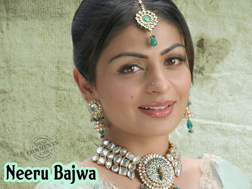 Beautiful Actress Neeru Bajwa, bajwa neeru HD wallpaper