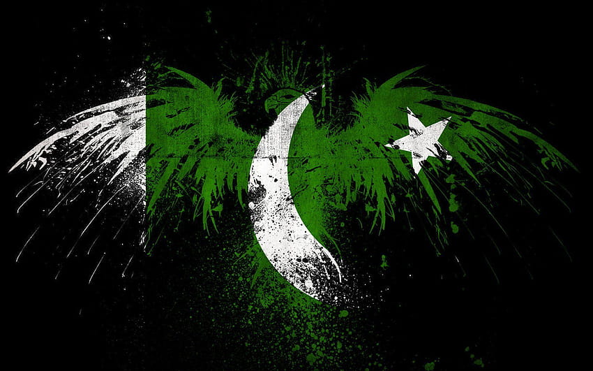 best Color Art Brain Culture Color, i love pakistan HD wallpaper