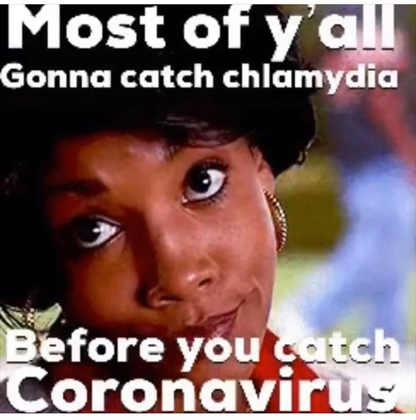 IN PICS: 10 hilarious memes attempting to bring comic relief to, funny coronavirus memes HD phone wallpaper