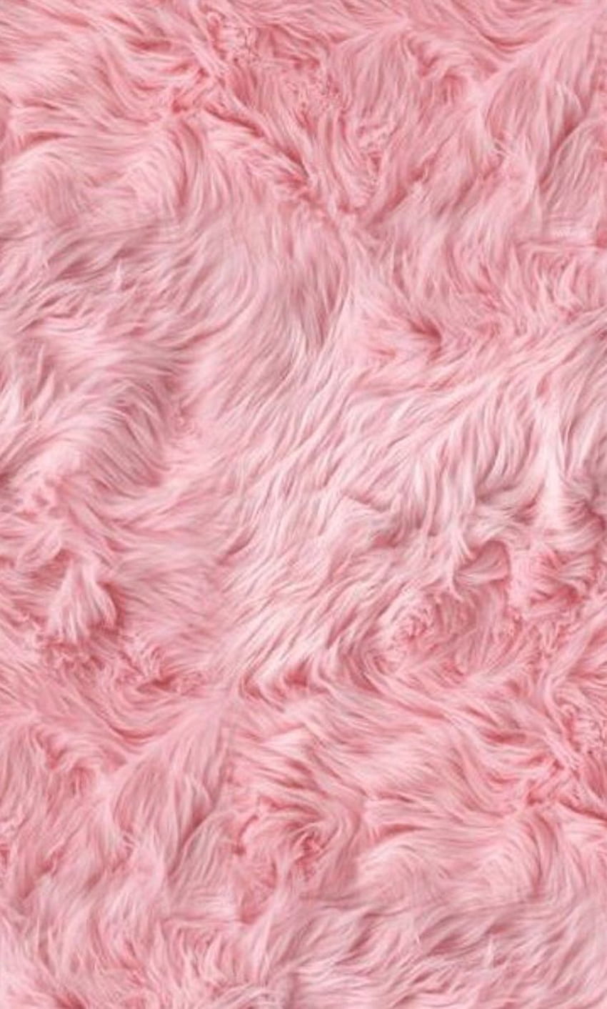 Best Pink Fur 52534 [736x1223] for your , Mobile & Tablet HD phone wallpaper