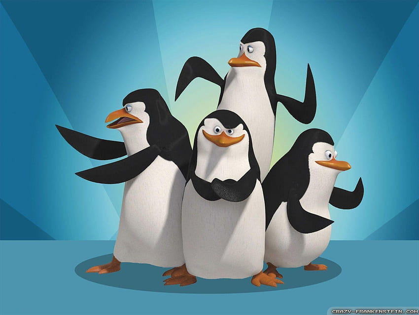 Pinguine aus Madagaskar, Pinguine von 100 % Qualität HD-Hintergrundbild