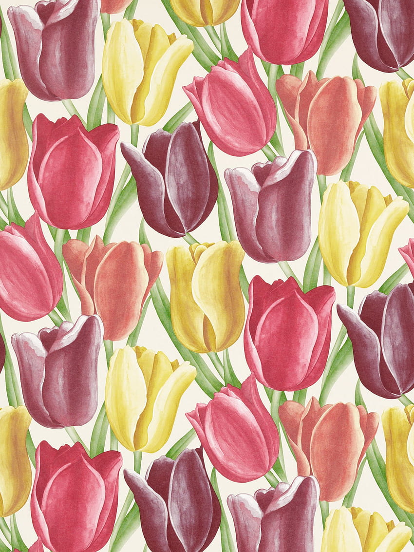 Sanderson Early Tulips , DVIWEA103, Aubergine / Red, spring tulip art HD phone wallpaper
