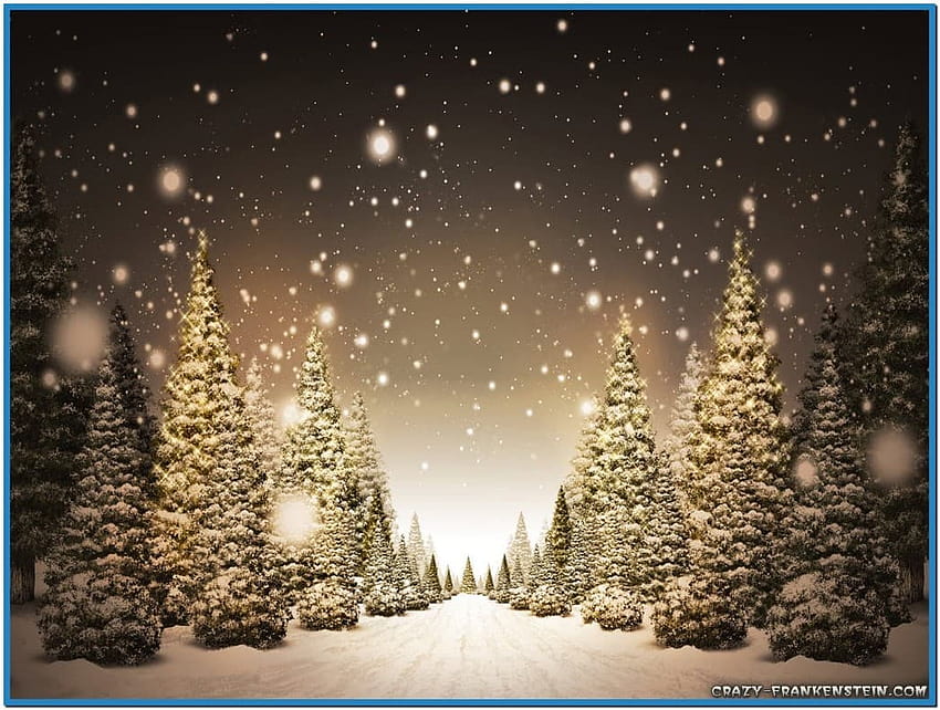 4 Christmas Snow Scenes, snowy christmas scenes HD wallpaper