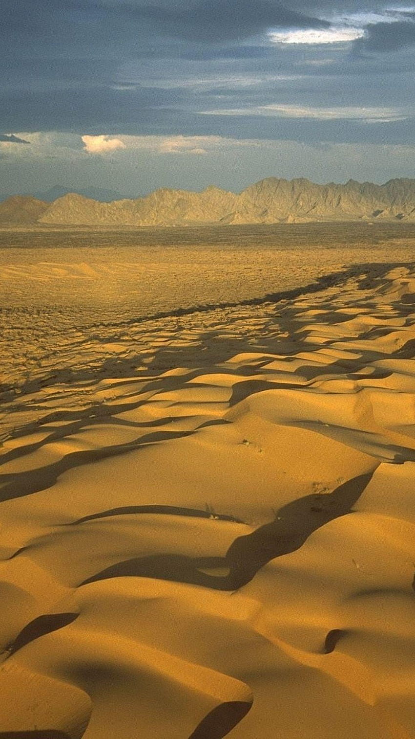 1080x1920 Golden Desert Dunes Mexico Galaxy s4 HD phone wallpaper