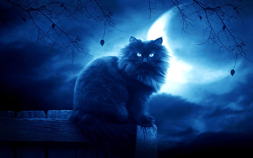 Download Cute Cat Aesthetic And Crescent Moon Wallpaper