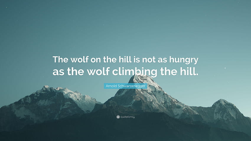 Arnold Schwarzenegger Quote: “The wolf on the hill is not as hungry HD wallpaper