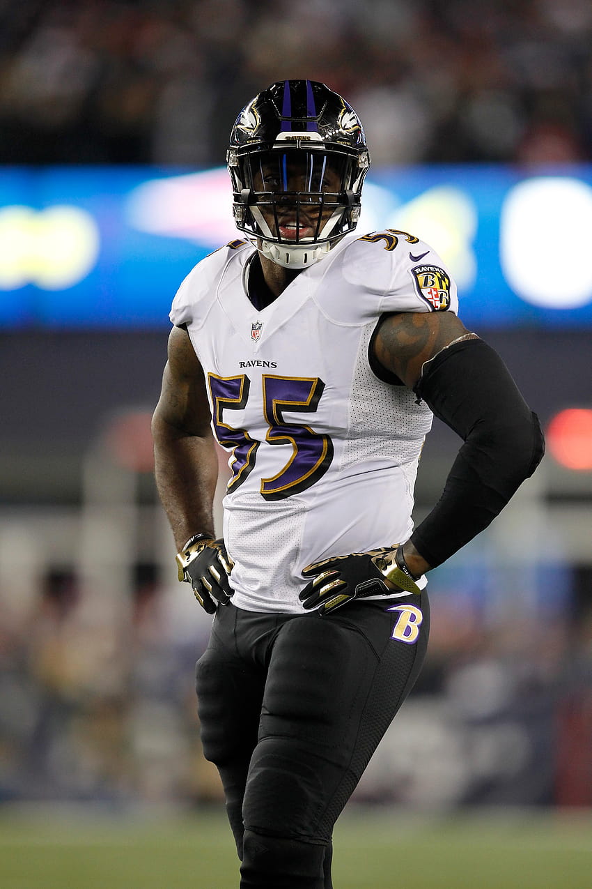 This Date In Transactions History: Ravens Tag Terrell Suggs HD phone wallpaper